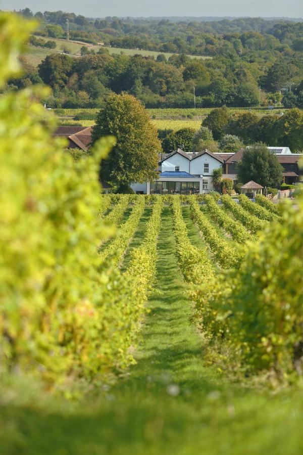 Denbies Vineyard Hotel Dorking Extérieur photo