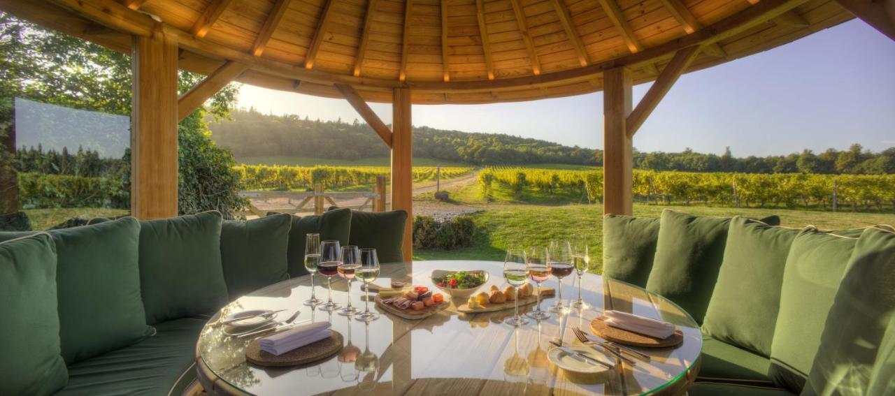 Denbies Vineyard Hotel Dorking Extérieur photo