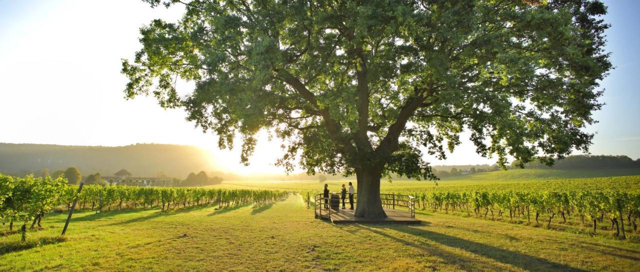 Denbies Vineyard Hotel Dorking Extérieur photo